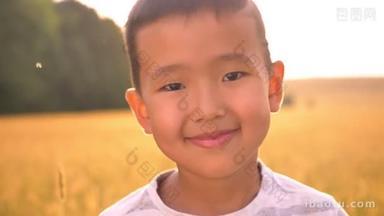 闪耀的共鸣围绕着阳光明媚的亚洲孩子在农村的麦田灯